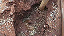 Bulk ore removal